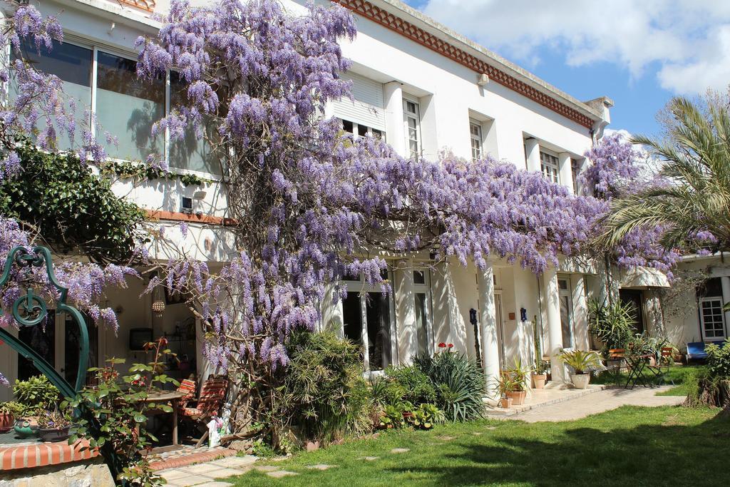 Bed and Breakfast Domaine Saint Nicolas Perpignan Exterior foto